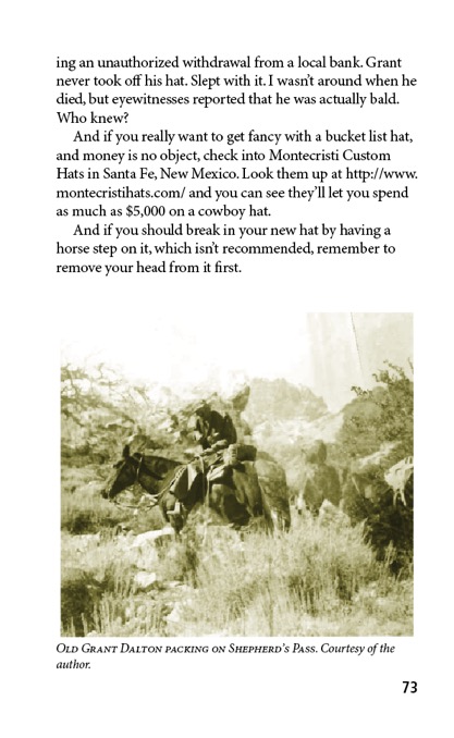 Cowboy-73b